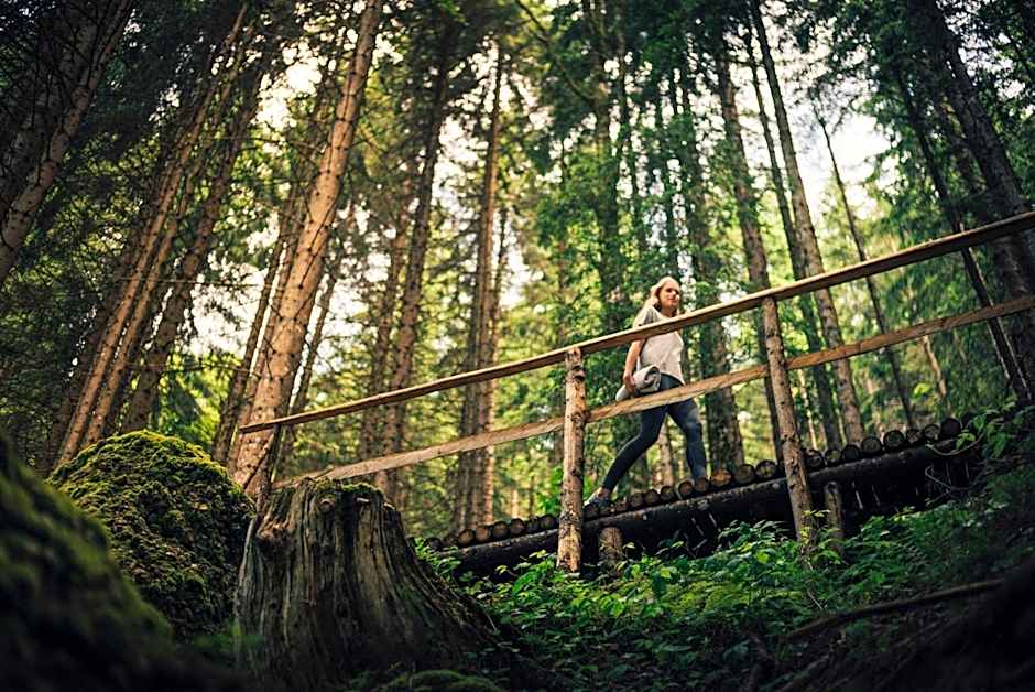 Torghele's Wald & Fluh