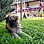 Alpine Touring Hotel-petfriendly