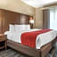 Comfort Inn & Suites Downtown near University