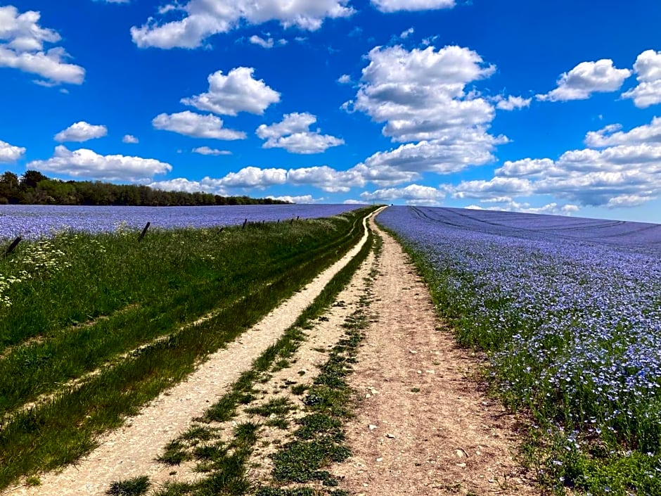 NUMBER 19 B&B Chichester