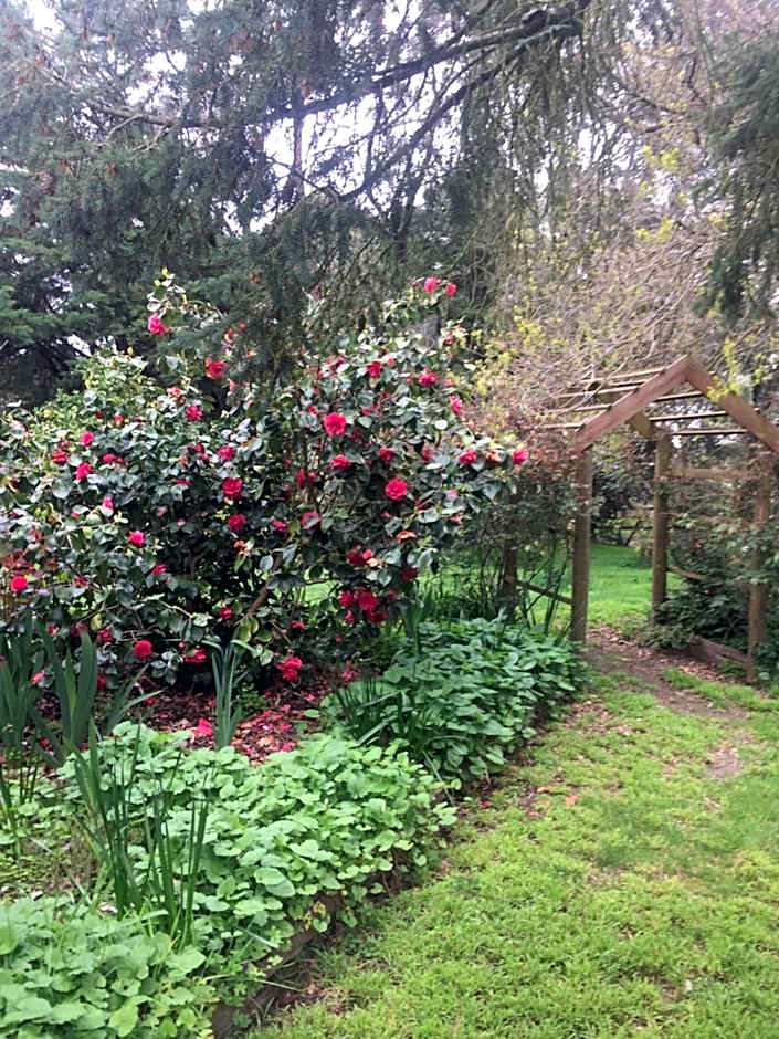 Sherwood Park bed and breakfast