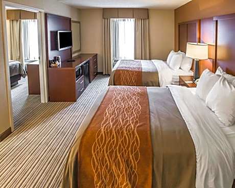 1 Queen Bed, 2 Double Beds, Suite, Nonsmoking