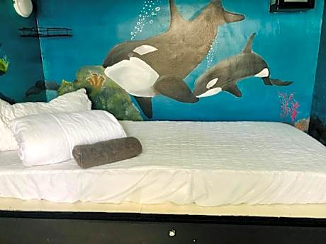 Single Bed in Dormitory Room