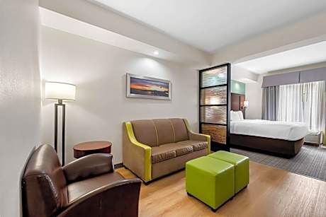 King Suite with Sofa Bed - Non-Smoking