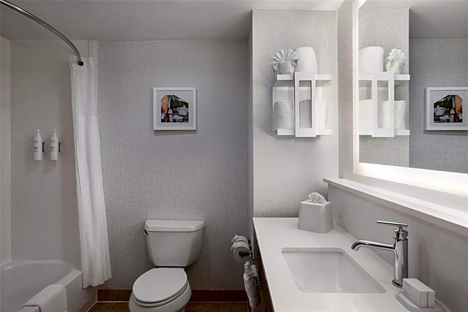 Hampton Inn By Hilton & Suites Dallas-Arlington North-Entertainment Dist.