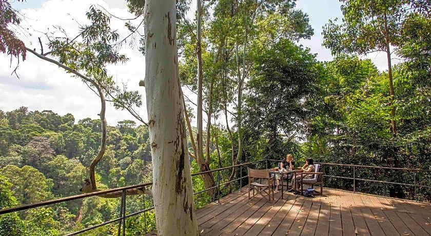 Kaliwa Lodge