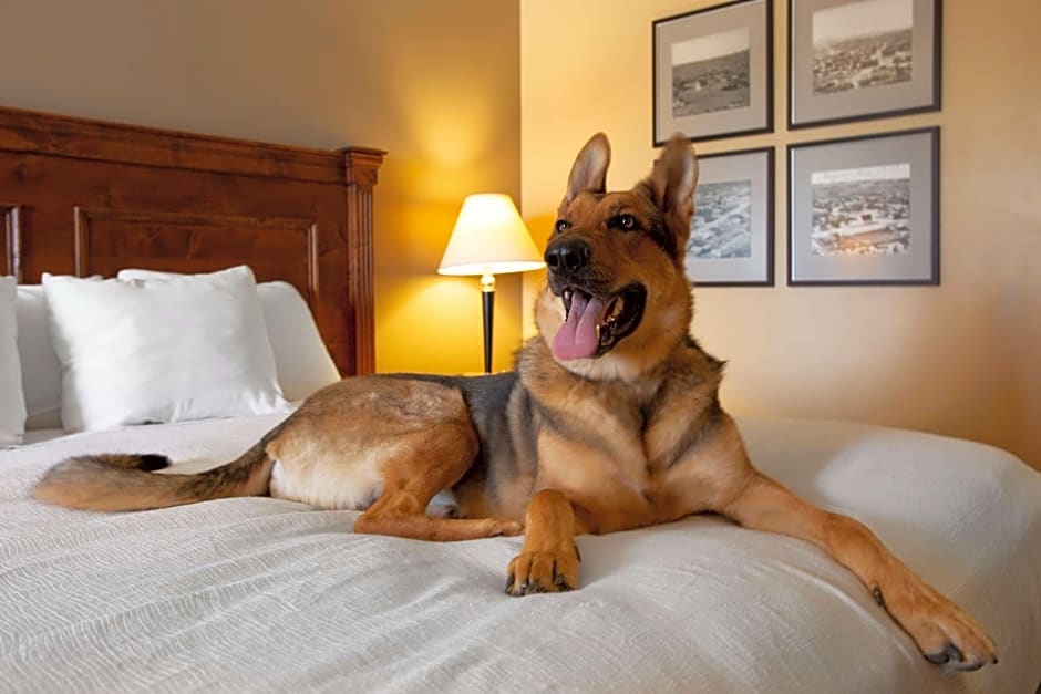 Best Western Plus King's Inn And Suites