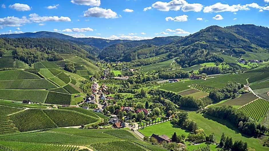 Hotel Rebstock Durbach