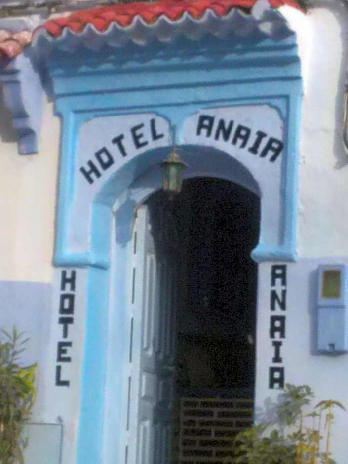 Hotel Anaia