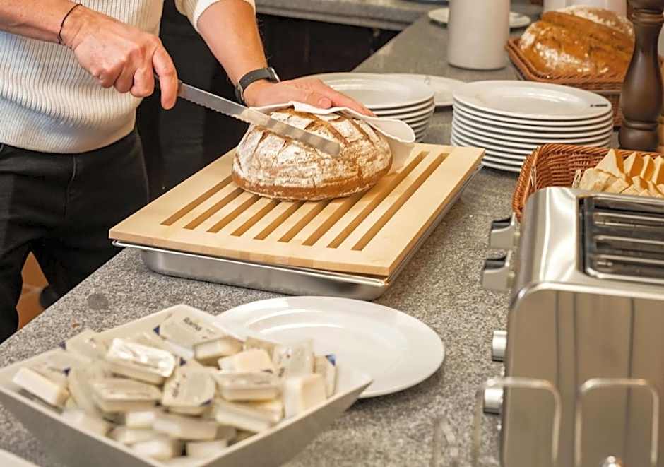 EFI SPA Hotel Superior & Pivovar