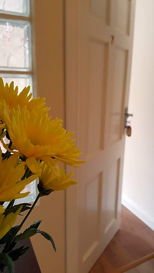 An Charraig Ban on the wild Atlantic way F94WT02