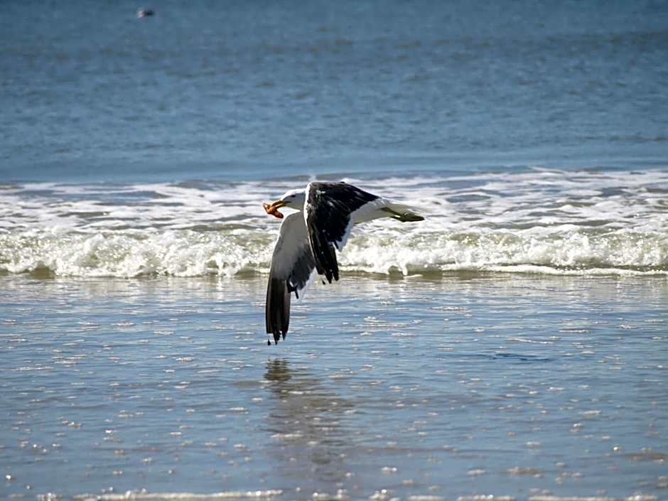 Melkbosstrand Bed and Breakfast