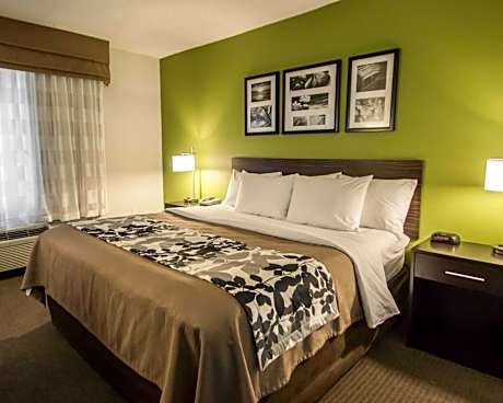 1 King Bed, Nonsmoking