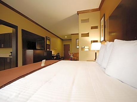 Suite-1 King Bed - Non-Smoking, Sofabed, Full Kitchen, Work Desk, Easy Chair, Wi-Fi, Full Breakfast