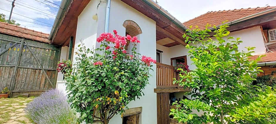 Reichau Transilvania