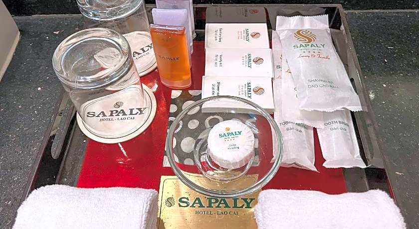 Sapaly Lao Cai City Hotel