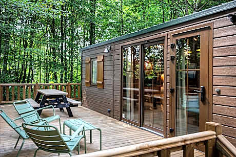New Standard Cabin
