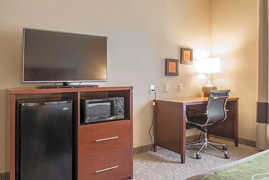 Comfort Inn Edinburg South