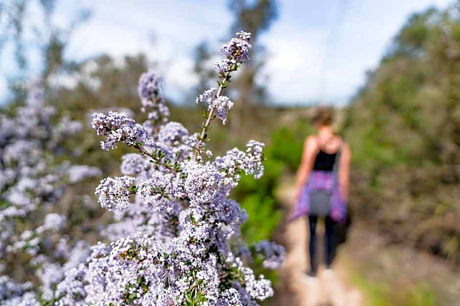 Candlewood Suites Santa Maria By IHG