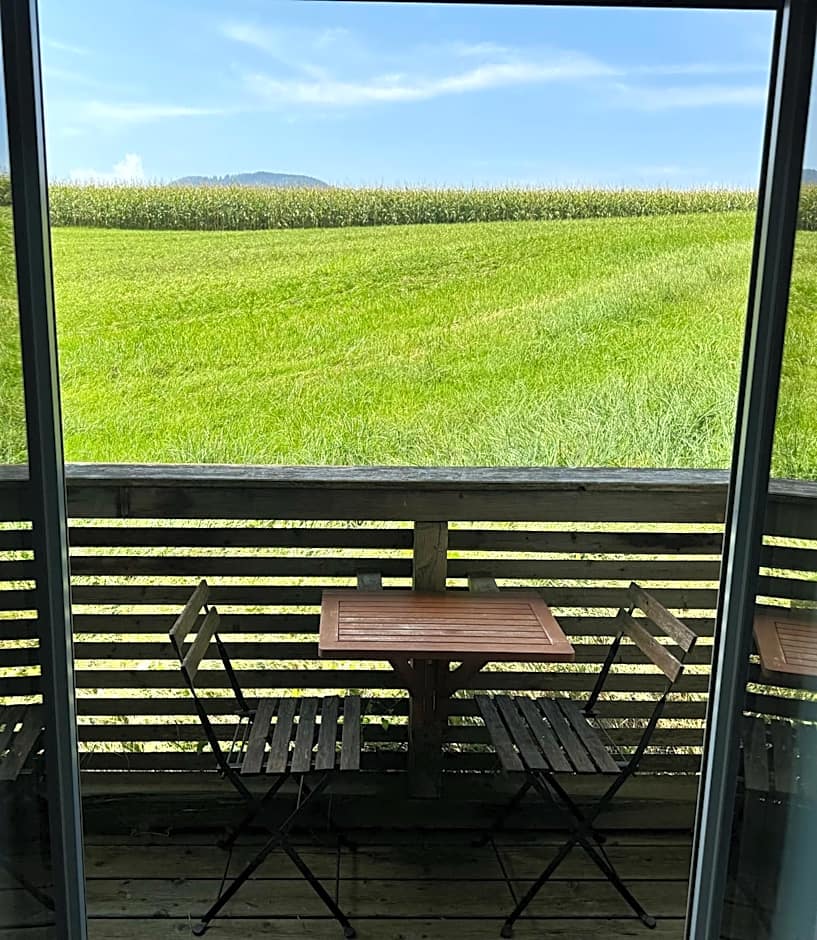 Apartmenthotel 's Mitterndorf