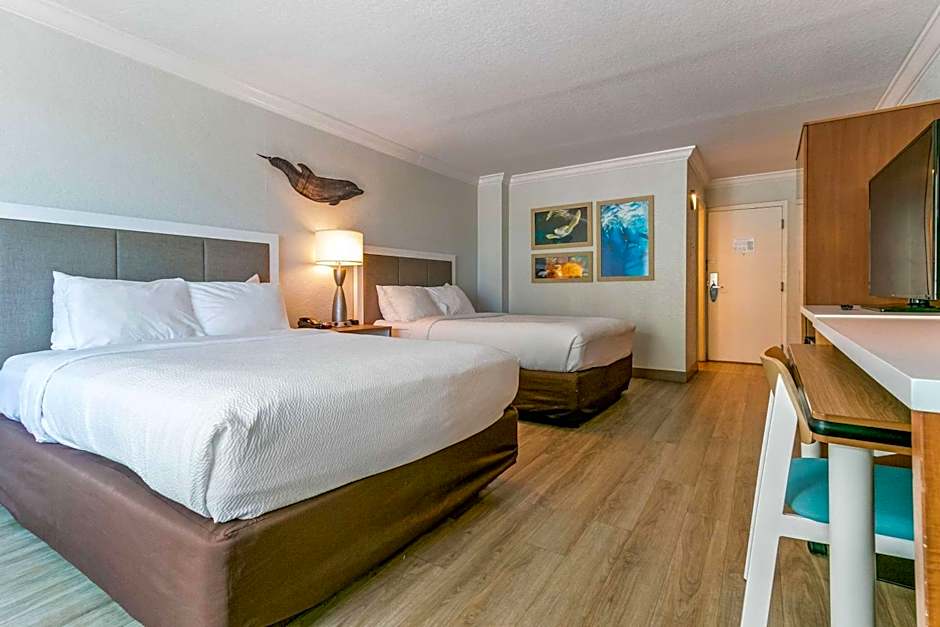 Winter the Dolphin's Beach Club, Ascend Hotel Collection