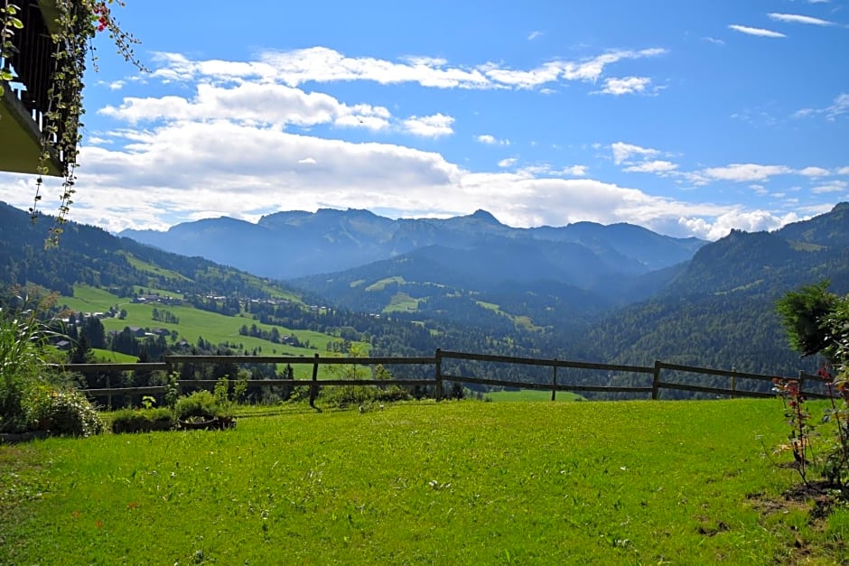 Gasthof Hotel IFENBLICK