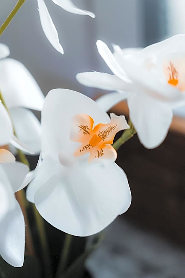 urban by balladins Perpignan