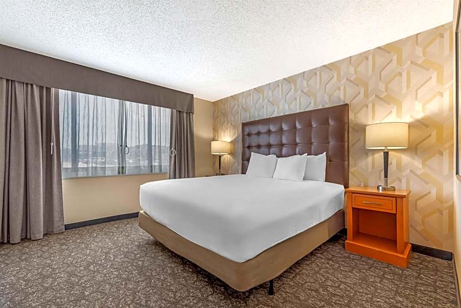 Drury Plaza Hotel St. Louis Union Station