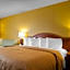 Quality Inn Cairo I-57