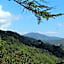 Locanda del Sale Affittacamere