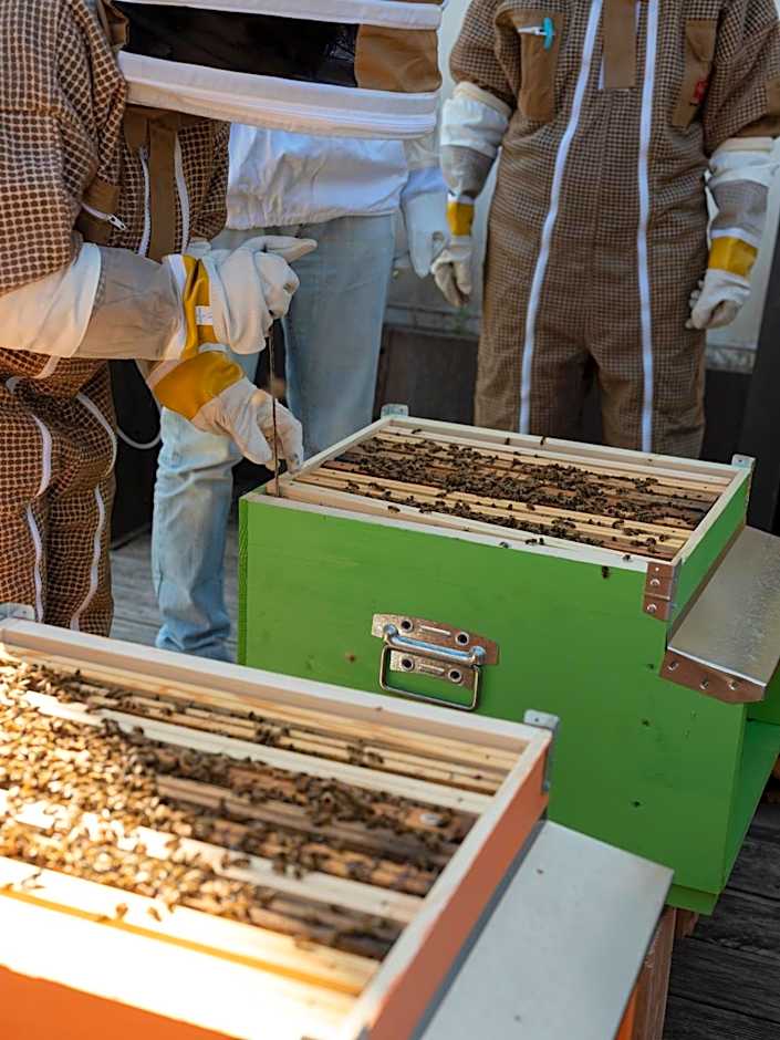 Imago Plus Hotel