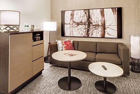 1 King Jr Suite Mobility Accessible W/tub Hispeed 12.95/day-sweet Dreams Experience Bed Sitting Area