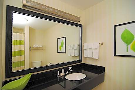 Studio, Multiple Beds (2 Queen Beds and 1 Double Sofa Bed)