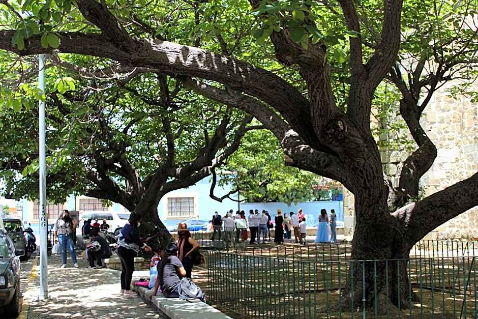 La Cochinilla Hotel Boutique