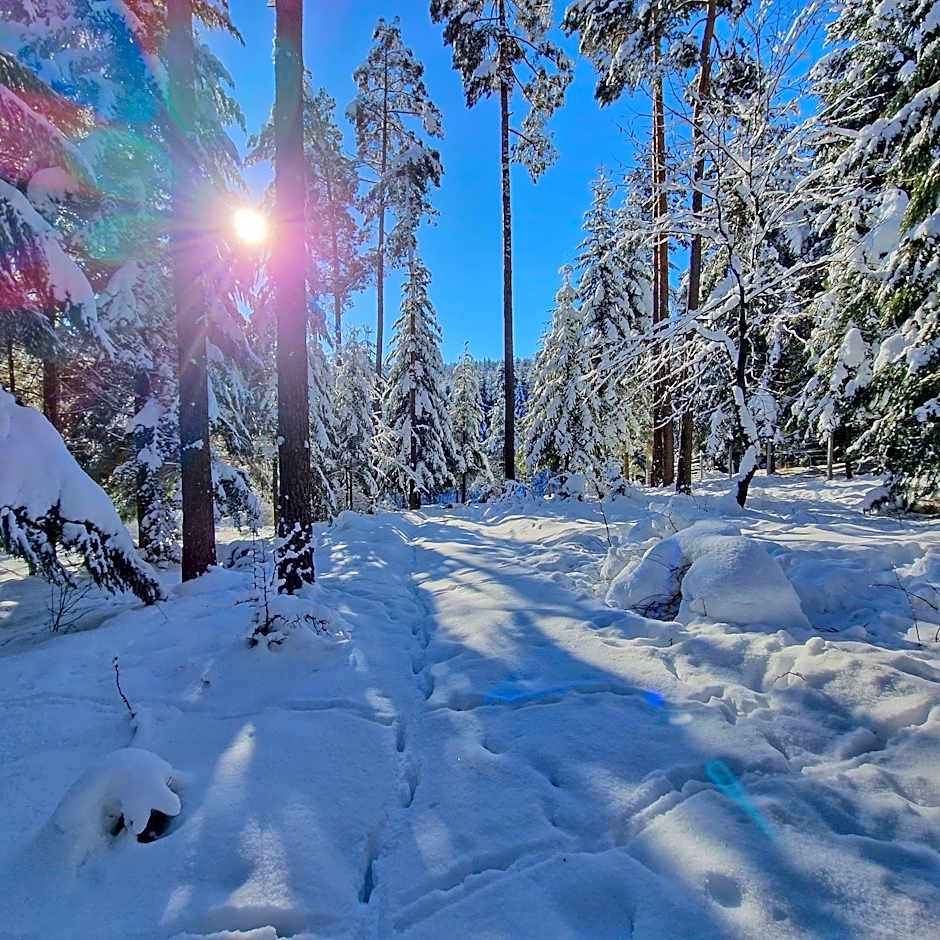 NOVAK CHALET domki z balią Krynica Zdrój