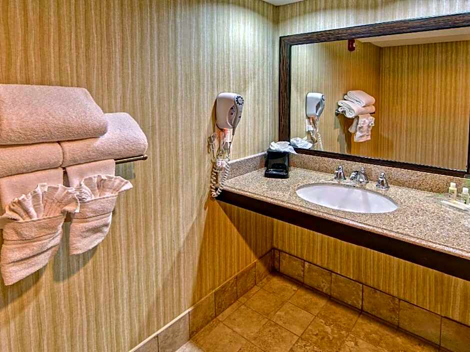 Clarion Hotel & Suites Memphis Airport (CLOSED) – Memphis, TN