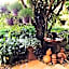 Gita's House