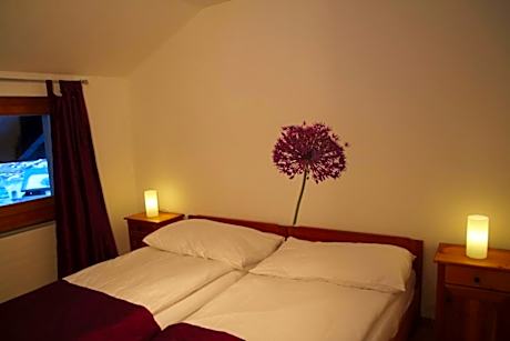 Haus Bergdohle