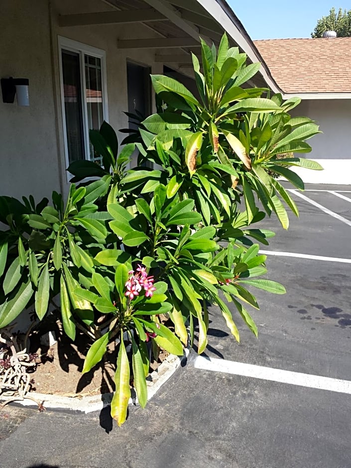 New Kansan Motel
