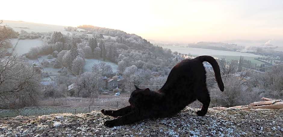 B&B CHEZ FOUCHS - Chambre d'hôtes