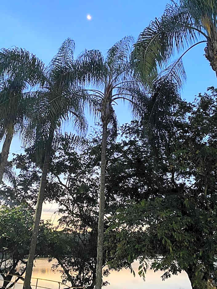 Pousada do Lago Dutra