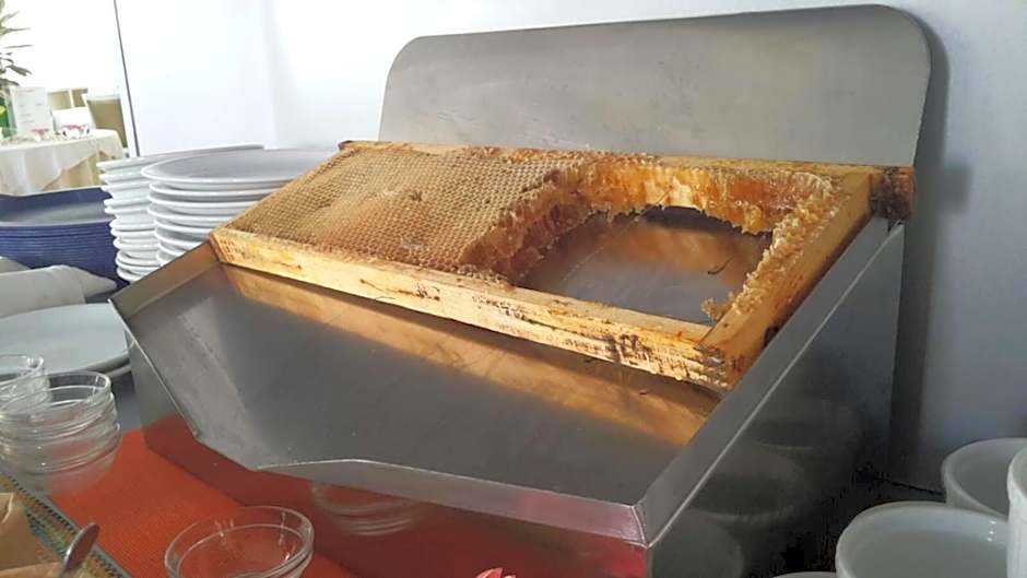 Hotel Caribia Pinarella