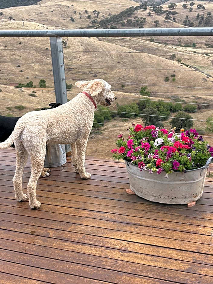 Amazing Views Pet Friendly Bed and Breakfast