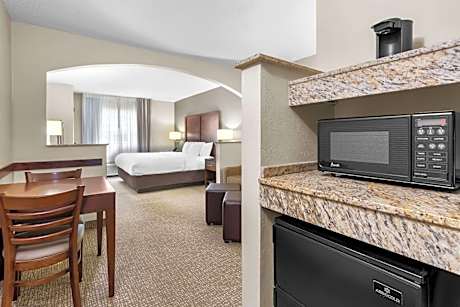 1 King Bed, Suite, Nonsmoking