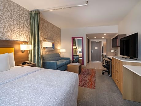 1 King Bed Studio Suite