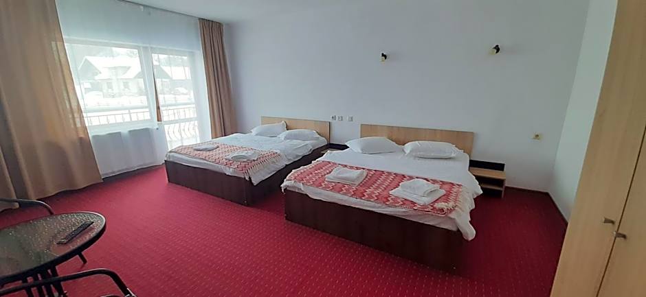 Pensiunea Montan din Bran,sat Simon SPA indoor