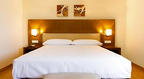 DOUBLE SINGLE USE STANDARD