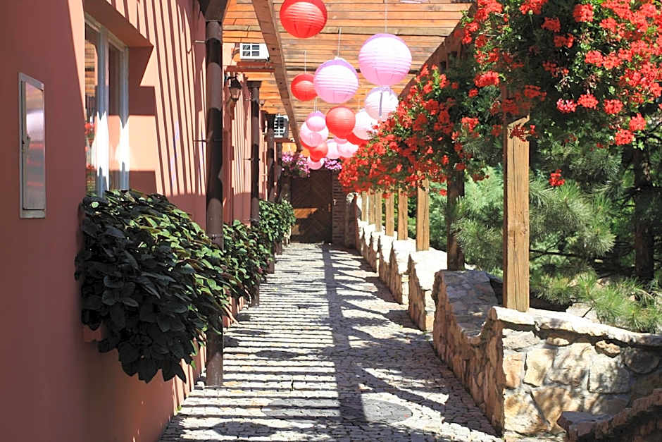 Hotel Restauracja Pustelnik