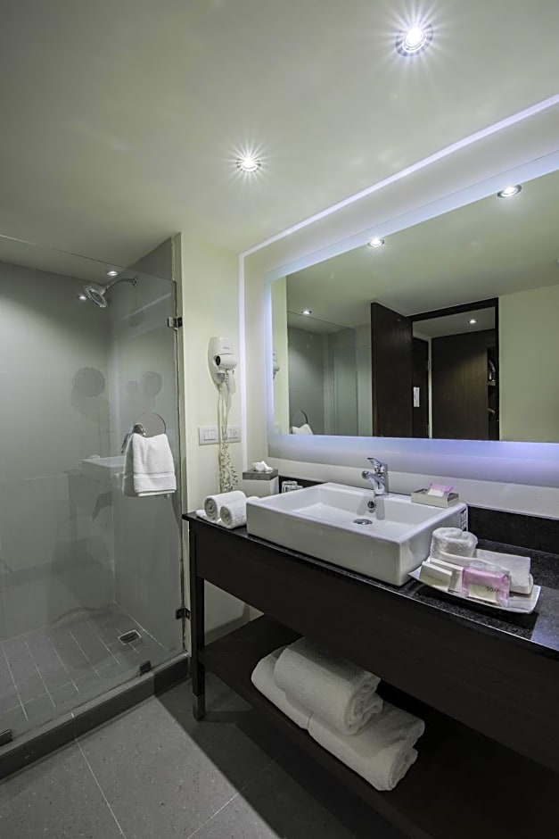 Holiday Inn Guadalajara Expo By IHG
