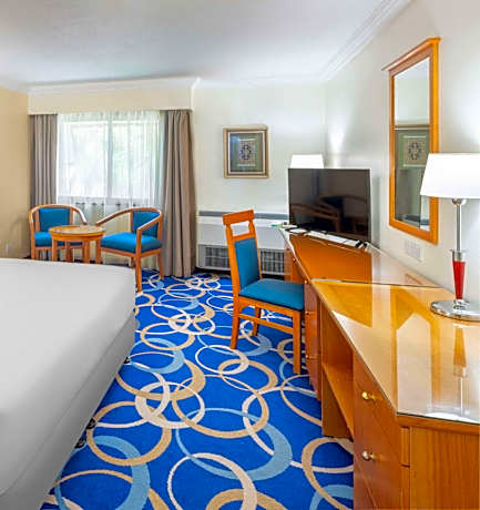 One-Bedroom Suite with Lounge Access